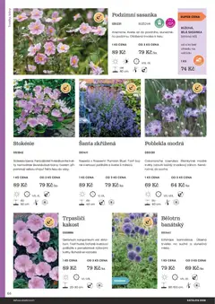 Náhled letáku Starkl katalog od 25.02.2026 | Strana: 66 | Produkty: Polštáře, Barvy