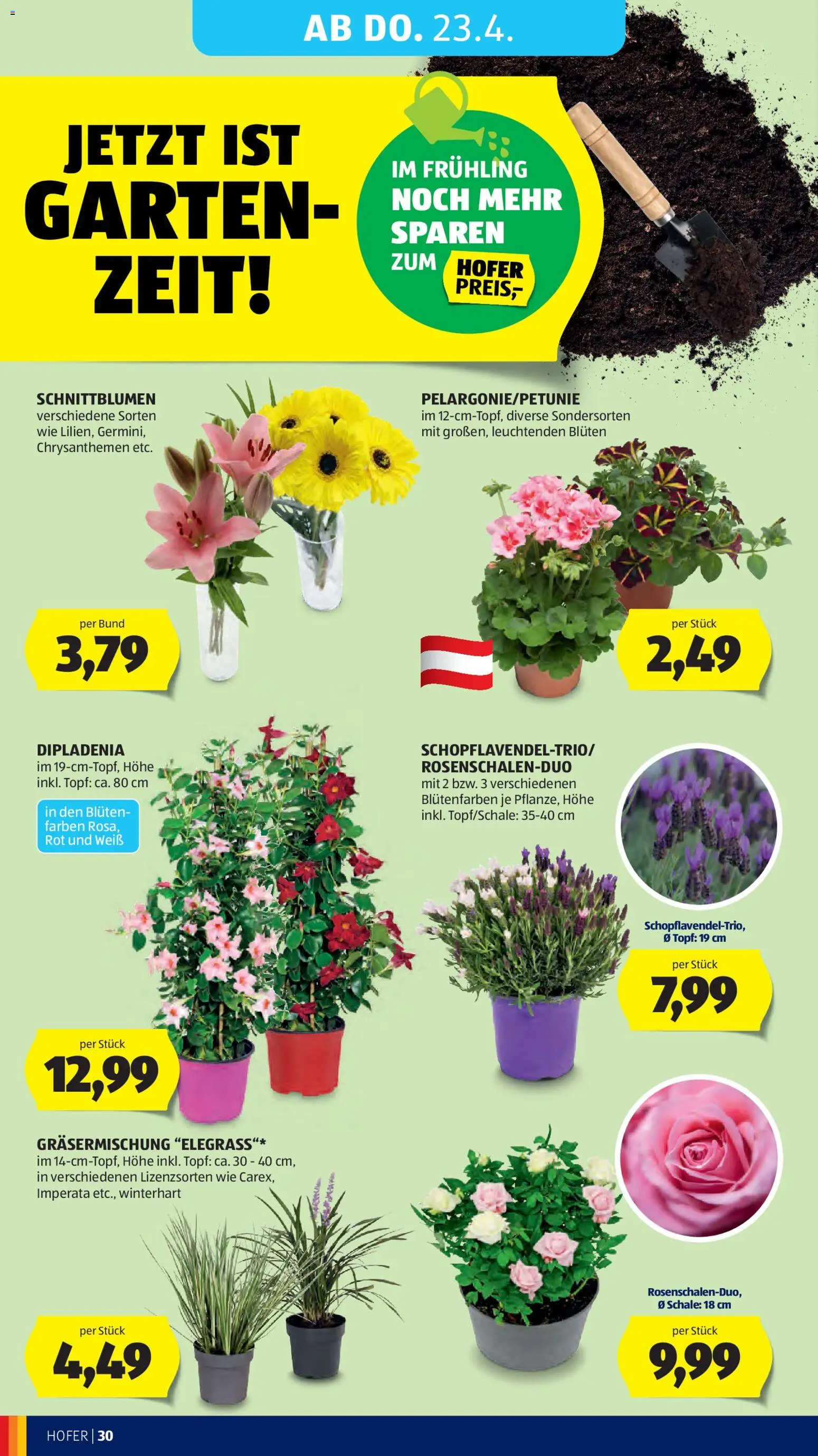 Hofer Flugblatt gültig ab 20.04.2026 | Seite: 34