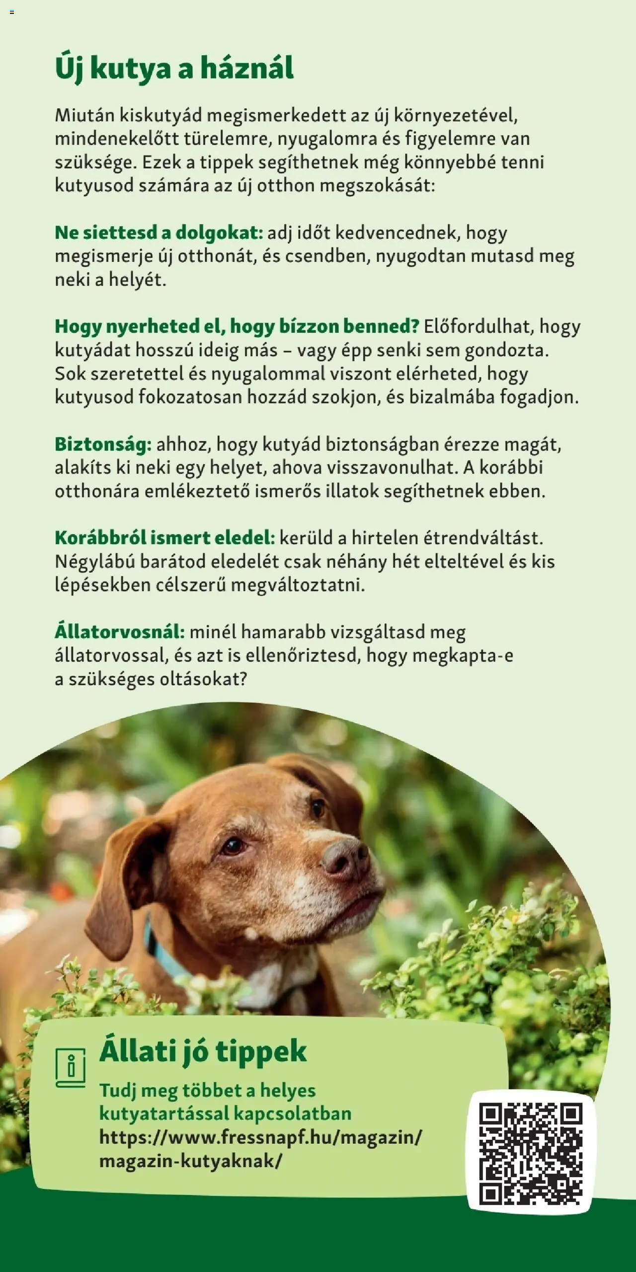 Fressnapf akciós ujság - amely érvényes a következő dátumtól: 06.04.2025 | Oldal: 2