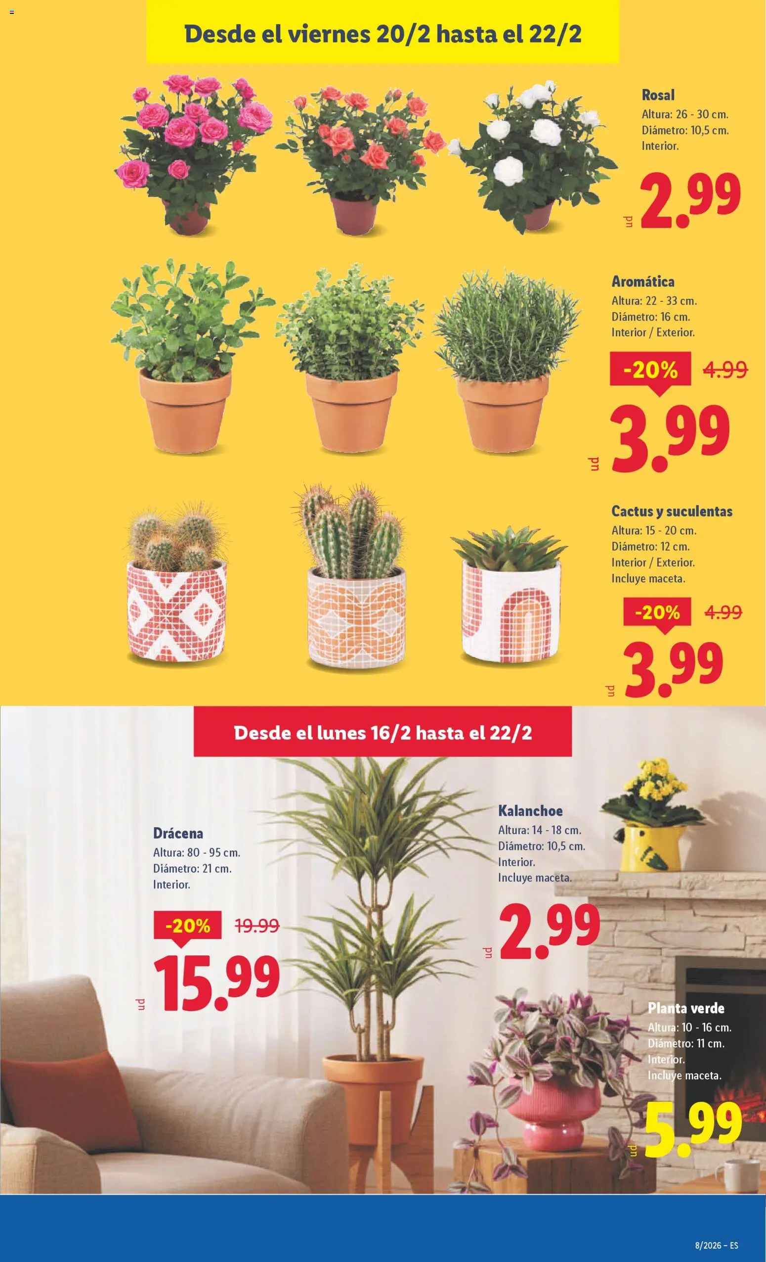 Lidl folleto │ válido desde el 16.02.2026 | Página: 37