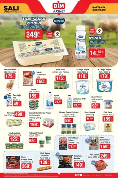 17.03.2026 tarihinden itibaren geçerli olan BİM kataloğu önizlemesi