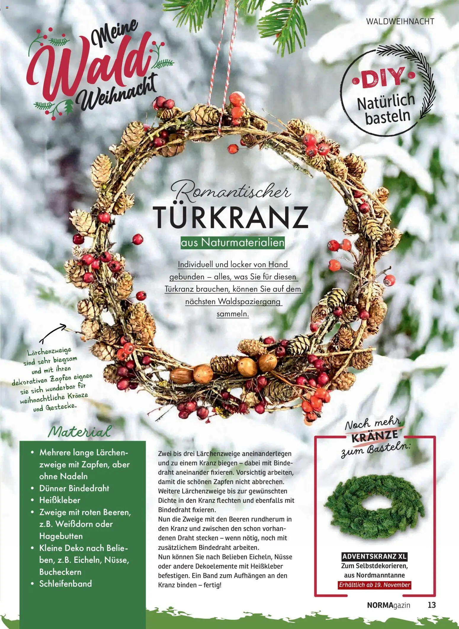 Norma NORMAgazin November/Dezember 2025 – gültig ab 01.11.2025 | Seite: 13 | Produkte: Nüsse