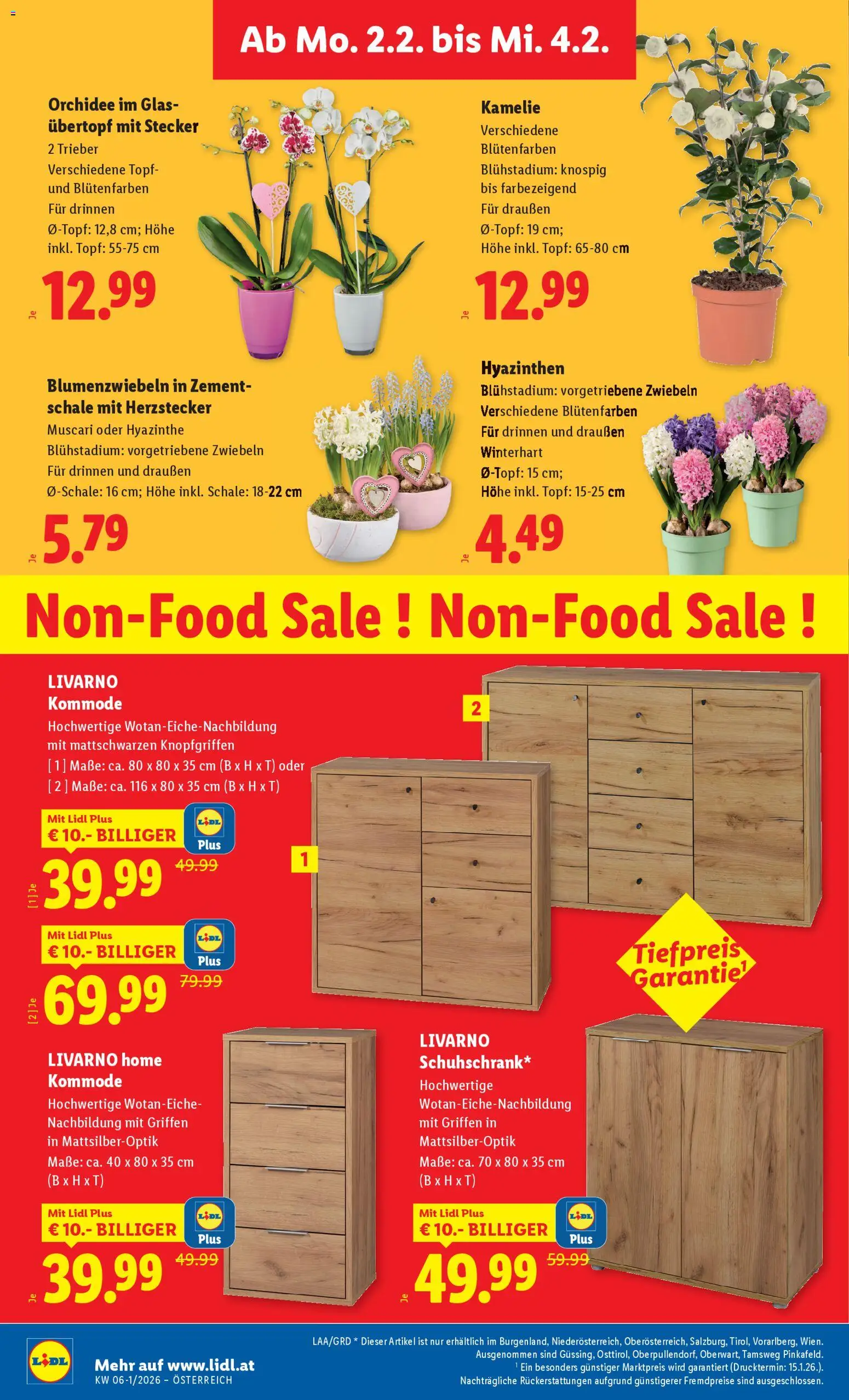 Lidl Flugblatt - Eisenstadt, Ebenfurth, Mattersburg gültig ab 29.01.2026 | Seite: 30