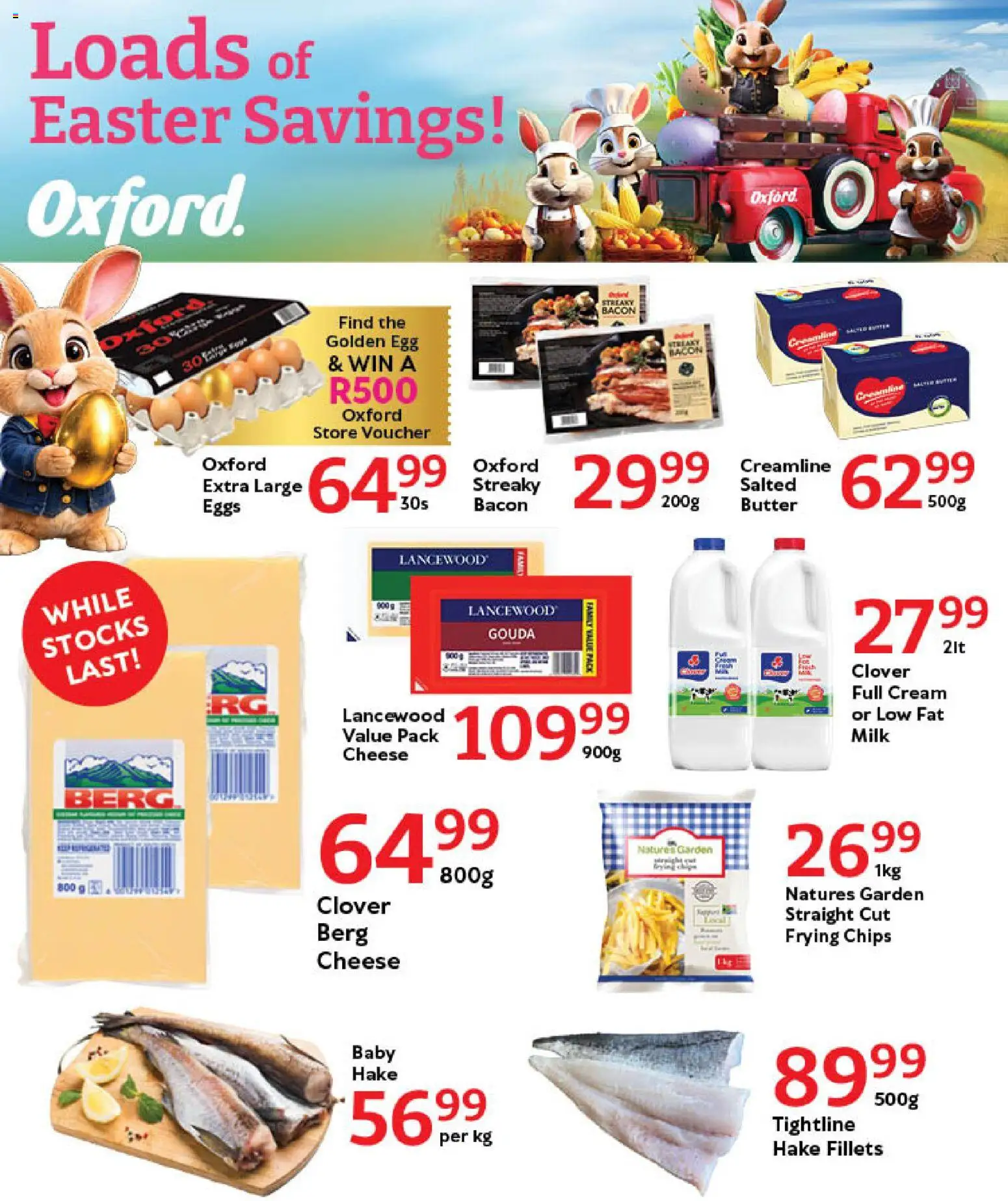 Oxford Freshmarket Tuesday Sale | 31/03/2026 | How to get a limited discount? Save today! | South Africa