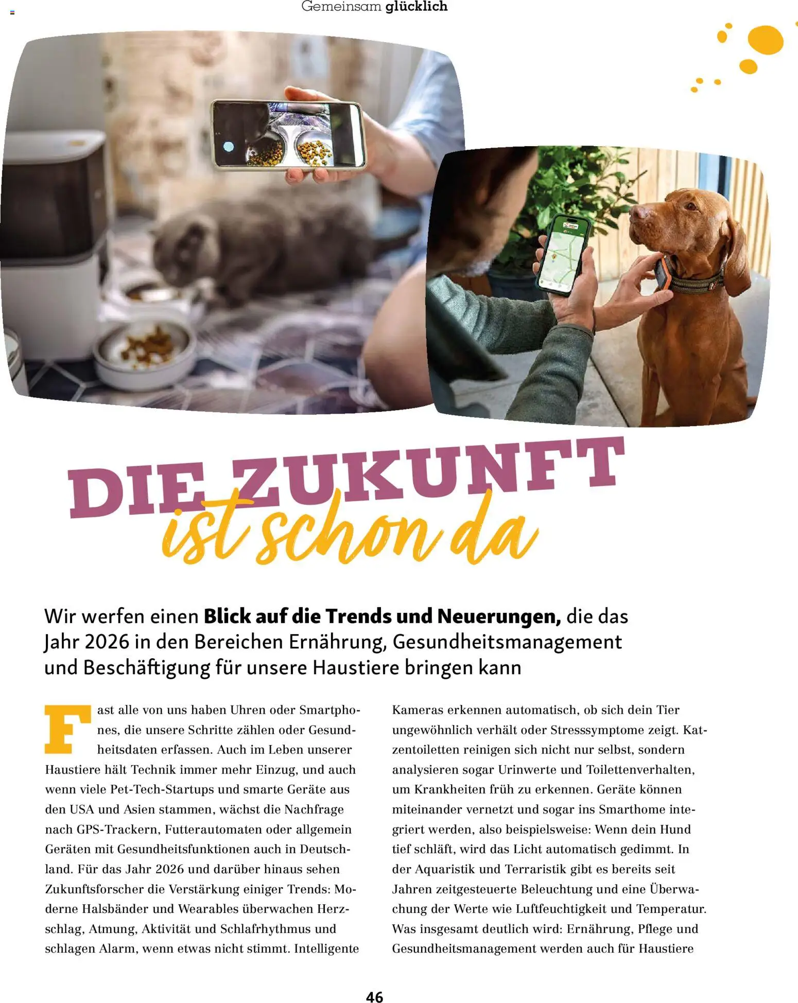 Fressnapf Friends Magazin – gültig ab 01.01.2026 | Seite: 46