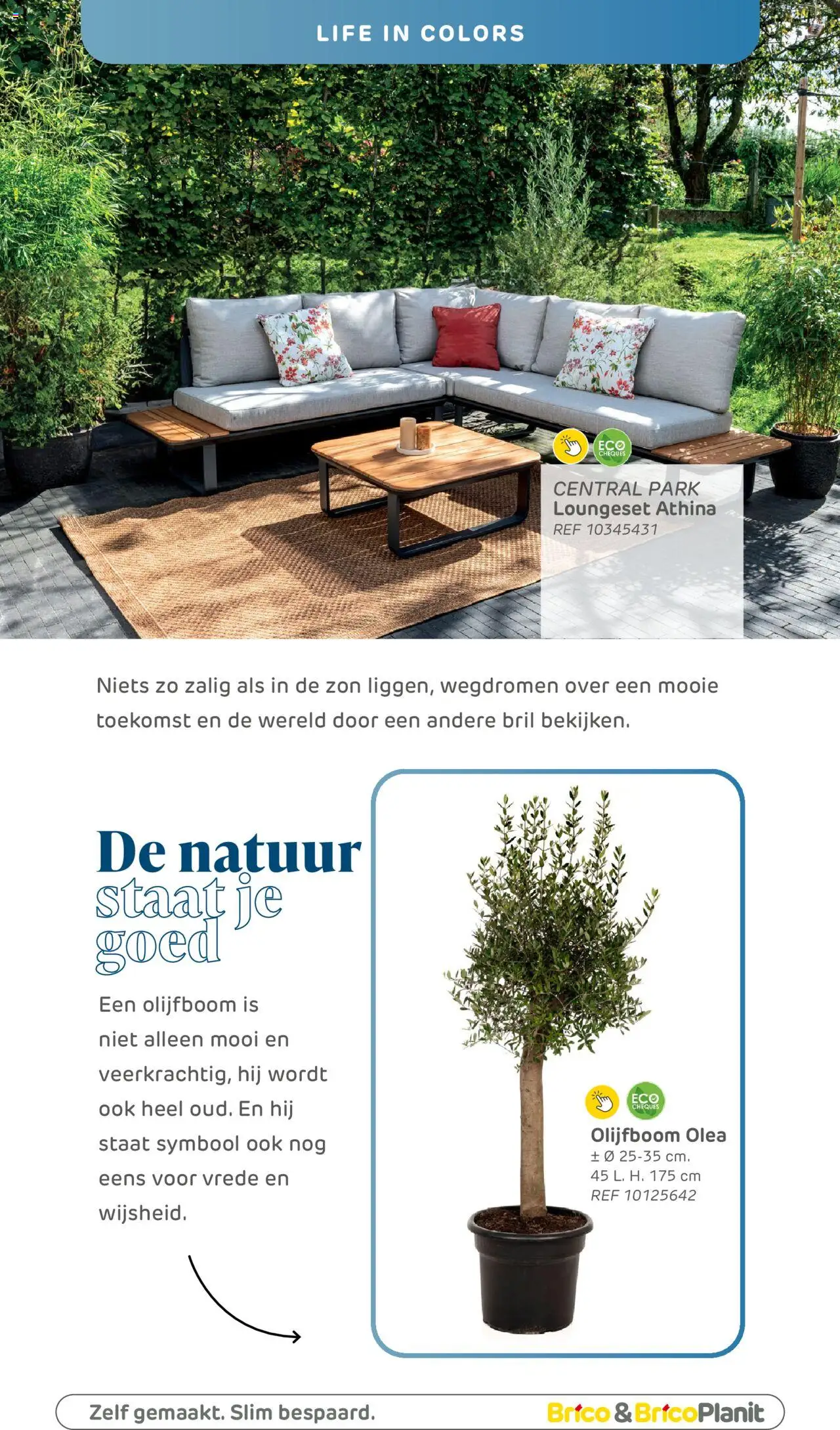  | Pagina: 8 | Producten: Bril
