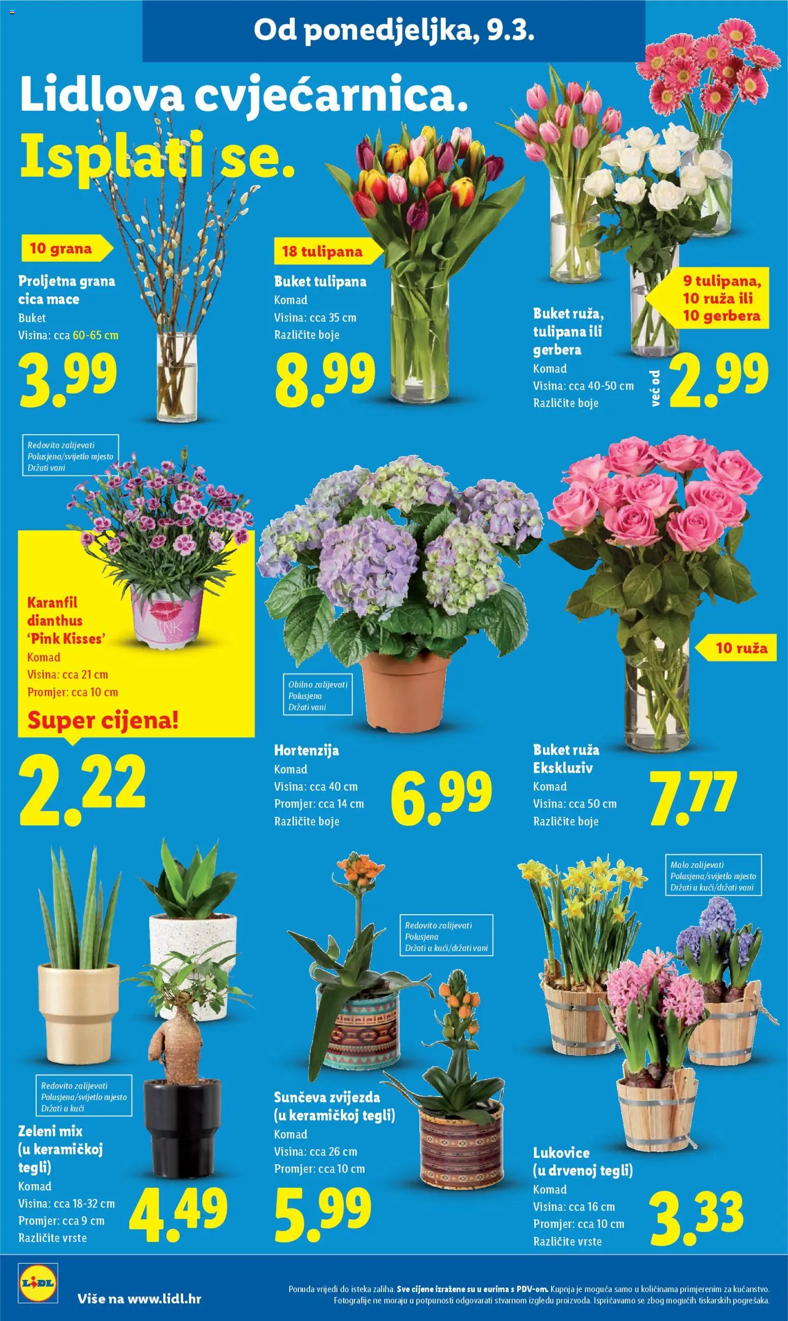 Lidl katalog | vrijedi od 09.03.2026 | Stranica: 50
