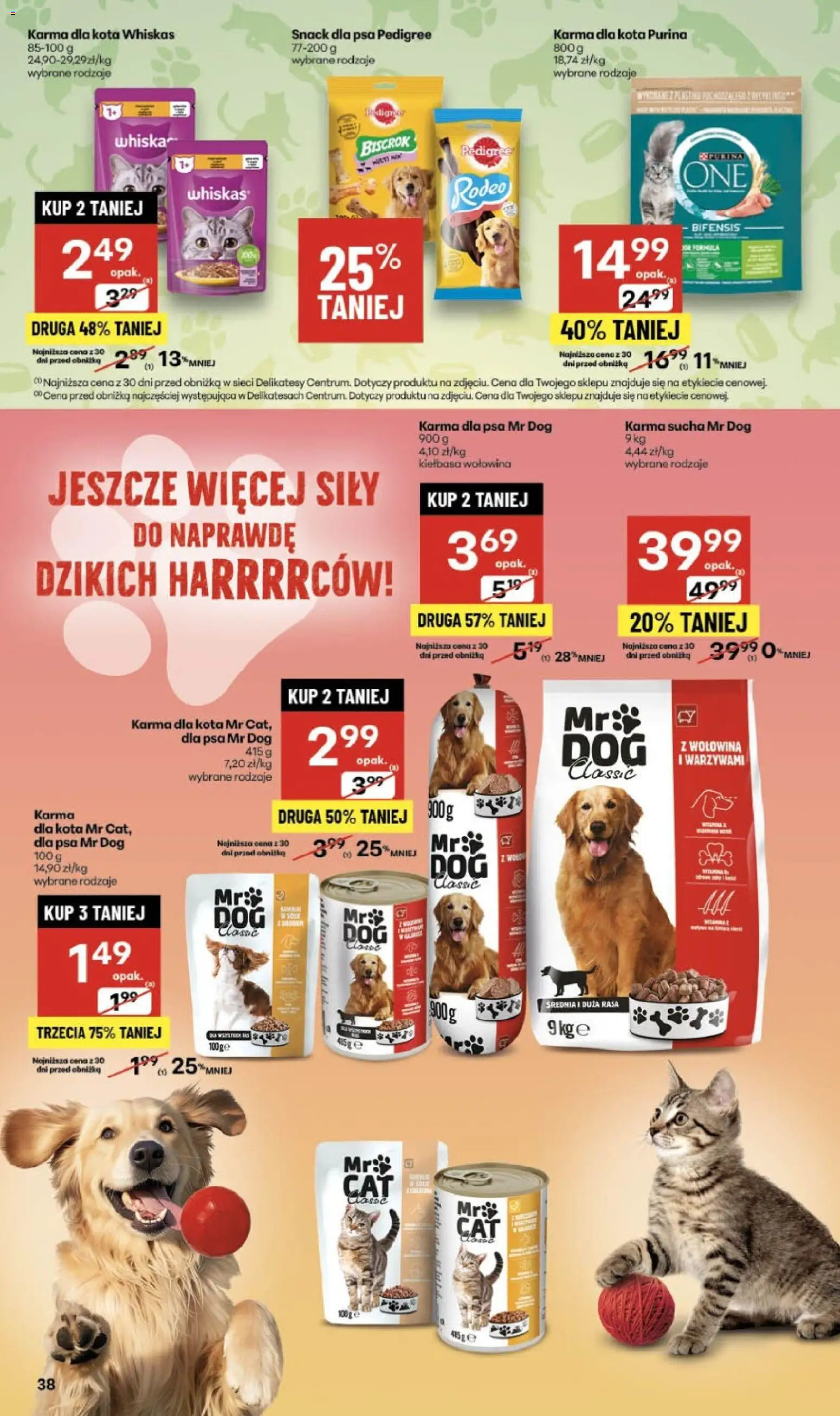 Delikatesy Centrum Gazetka od 13.11.2025 | Strona: 38 | Produkty: Delikatesy, Pedigree, Karma dla kota, Wołowina