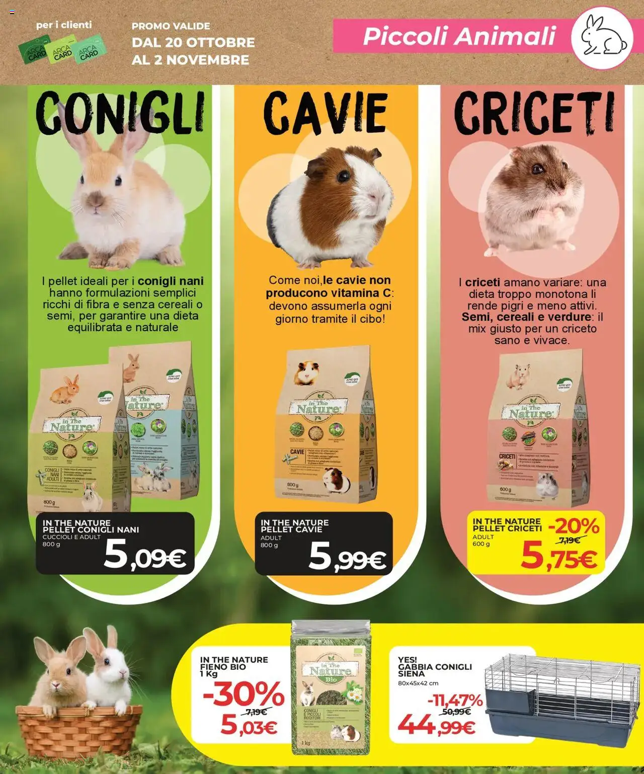 Volantino Arcaplanet del 20.10.2025 | Pagina: 29 | Prodotti: Pellet, Cereali, Verdure, The