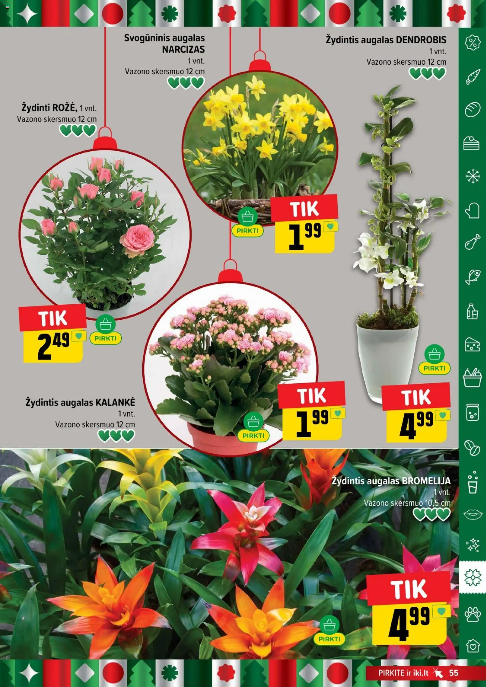 IKI akcijos nuo 22.12.2025 | Puslapis: 55