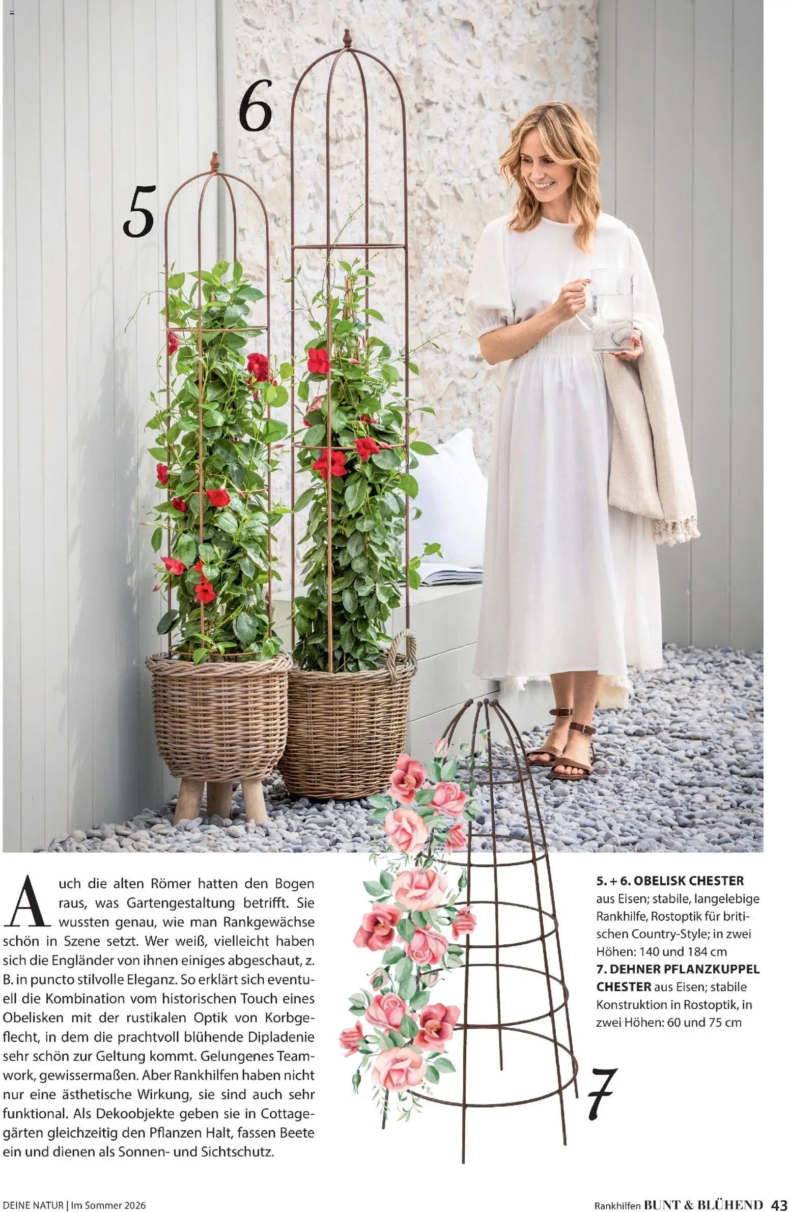 Dehner Prospekt 	 – gültig ab 17.04.2026 | Seite: 43