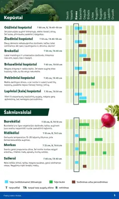 LIDL leidinys galioja nuo 09.02.2026 | Puslapis: 5 | Prekių: Svogūnai, Bulvės, Pomidorai