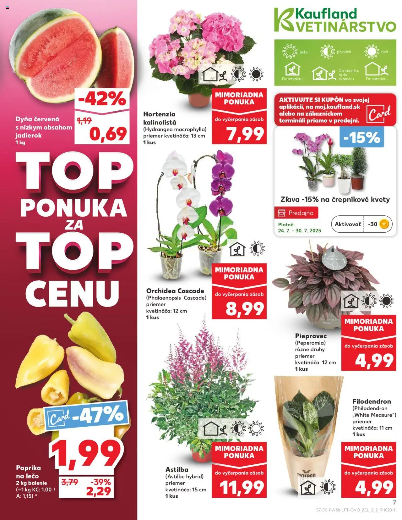 Kaufland Žilina │ platný od 24.07.2025 | Strana: 7 | Produkty: Paprika, Kvety, Orchidea