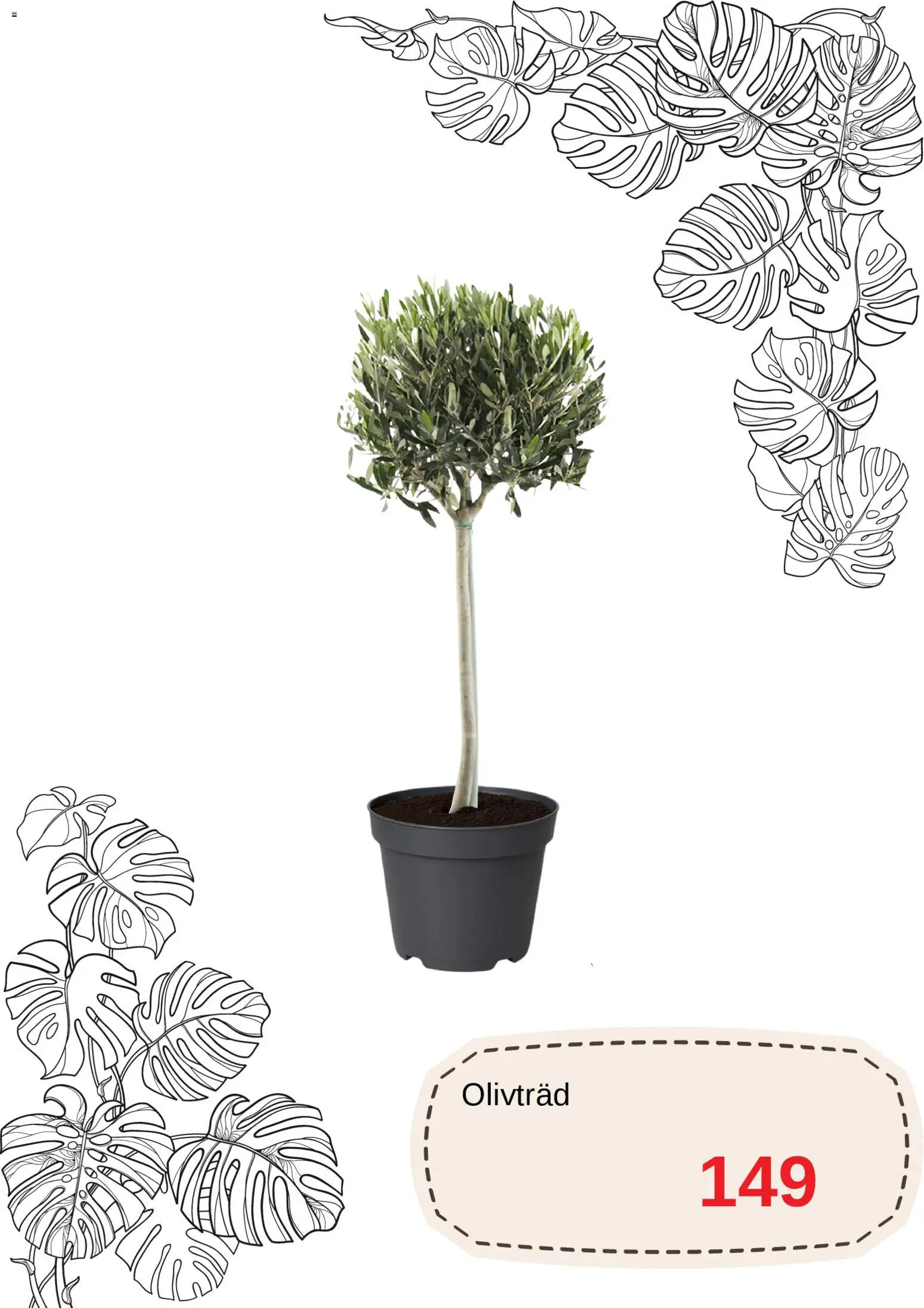 Blomsterlandet reklamblad aktuell från 20.04.2026 | Sida: 6