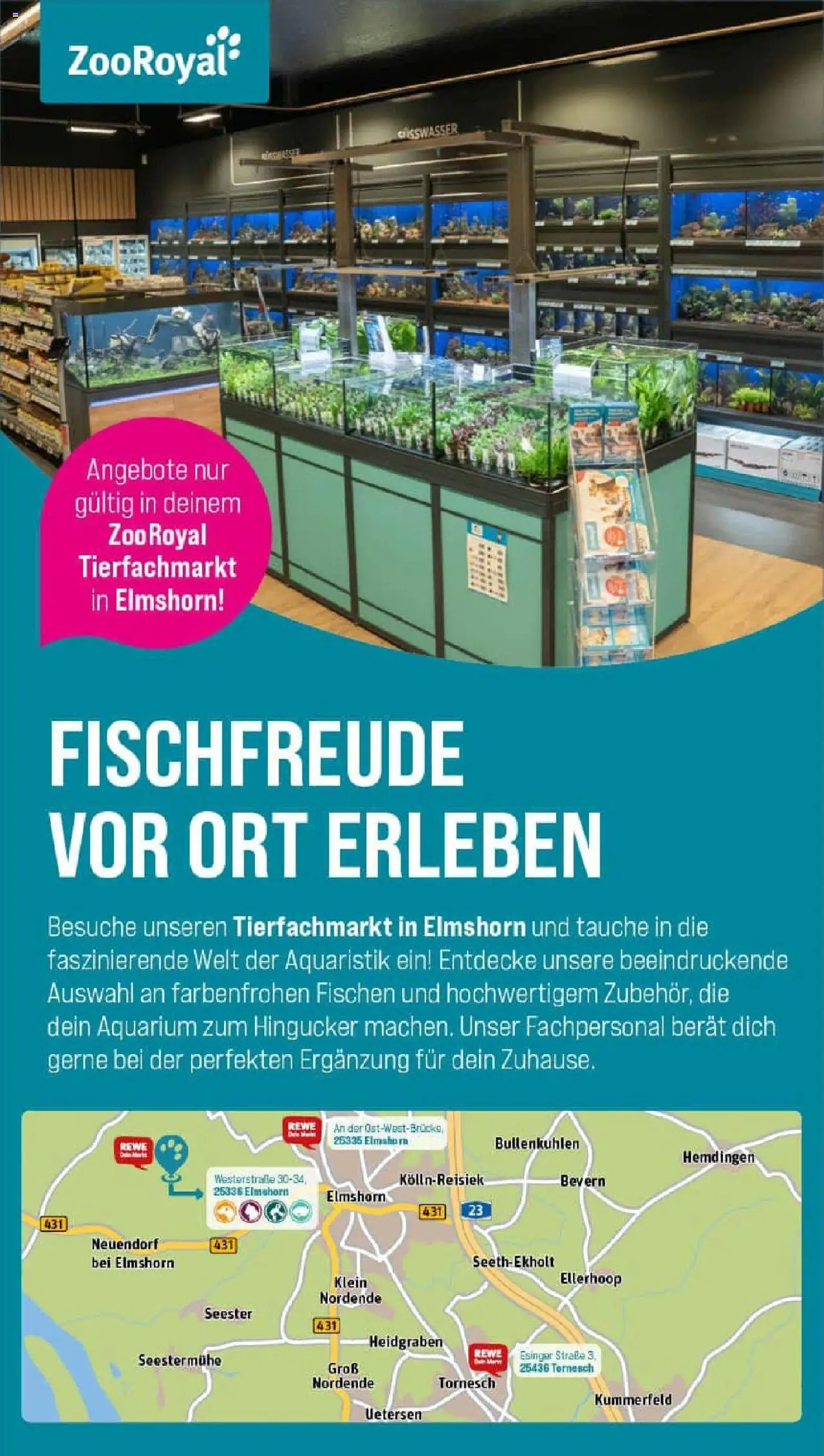 Rewe prospekt Tornesch	 - gültig ab dem 06.07.2025 | Seite: 29