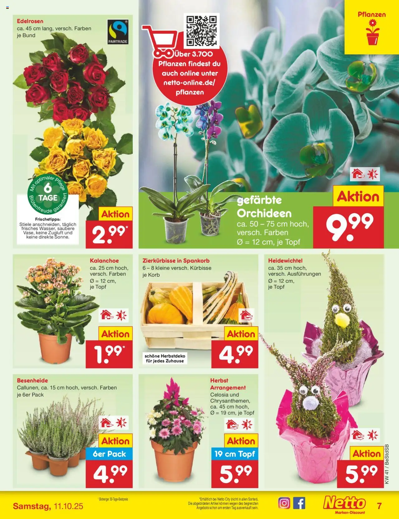 Netto Marken-Discount Prospekt 	 – gültig ab 06.10.2025 | Seite: 7 | Produkte: Korb