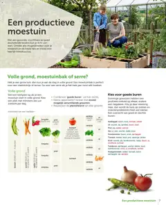 Aveve Tuingids  - Voorbeeld van een folder van Aveve, geldig van 23.02.2026 | Pagina: 7