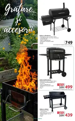 Ofertele Selgros valabile de la 17.04.2026 | Pagină: 46 | Produse: Cameră, Grill, Termometru, Grătar