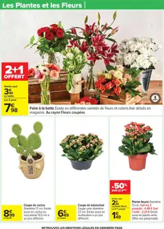  | Page: 24 | Produits: Plantes