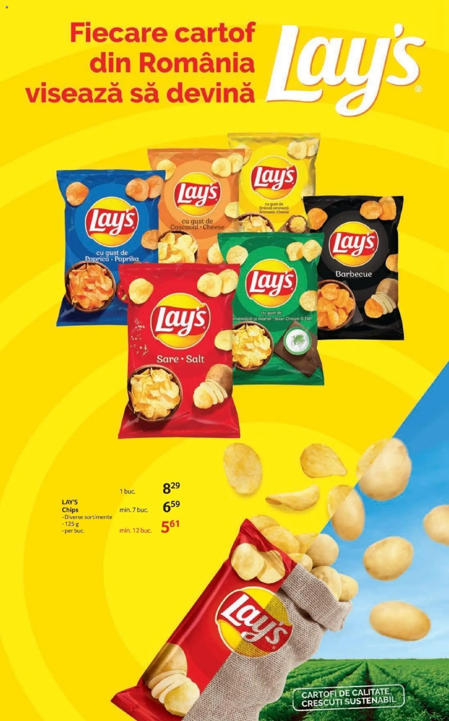 Noul catalog Selgros – valabil de la 23.01.2026 | Pagină: 13 | Produse: Brânză, Cartofi, Sare