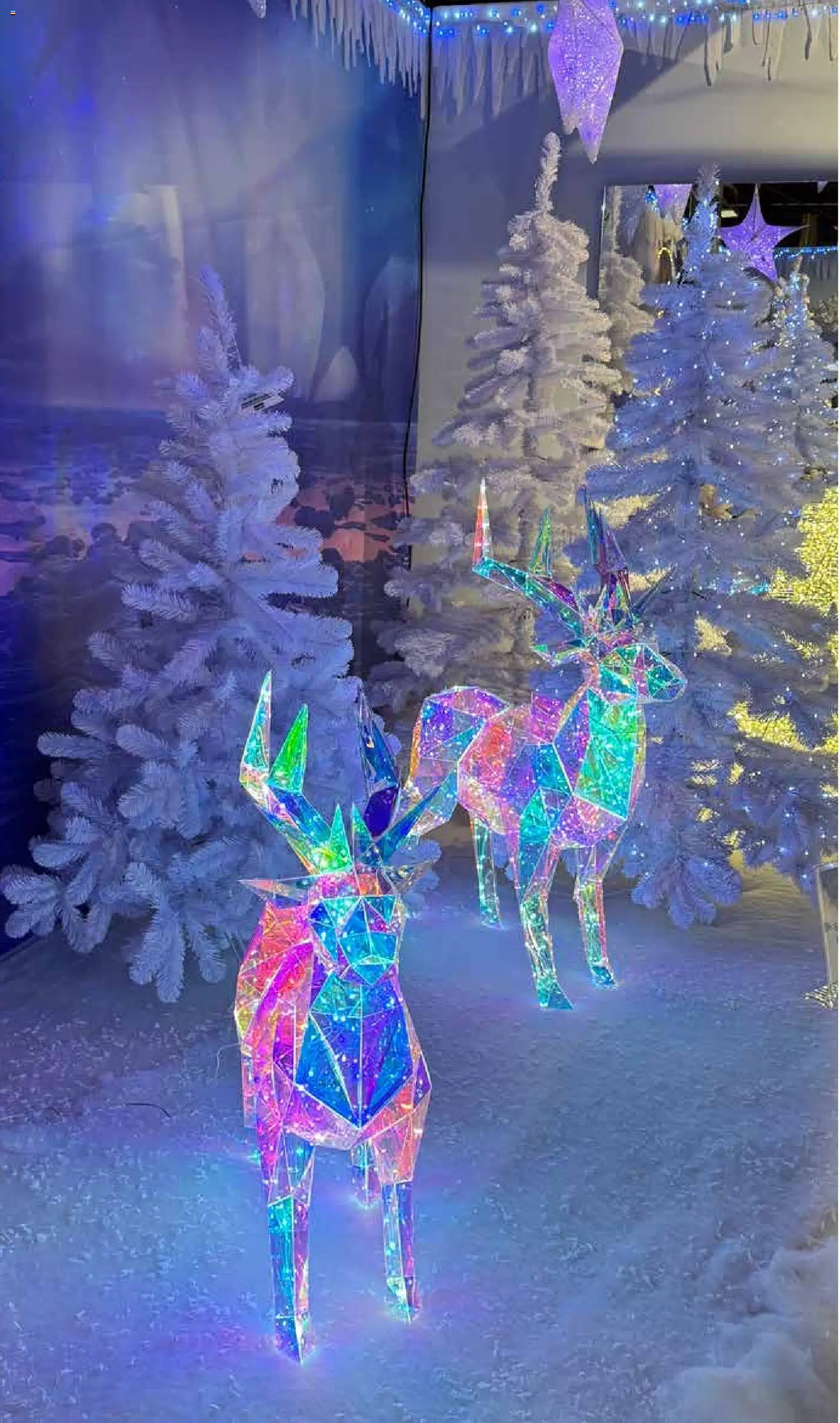 Pflanzen-Kölle Weihnachtsmarkt-Prospekt – gültig ab 10.11.2025 | Seite: 2