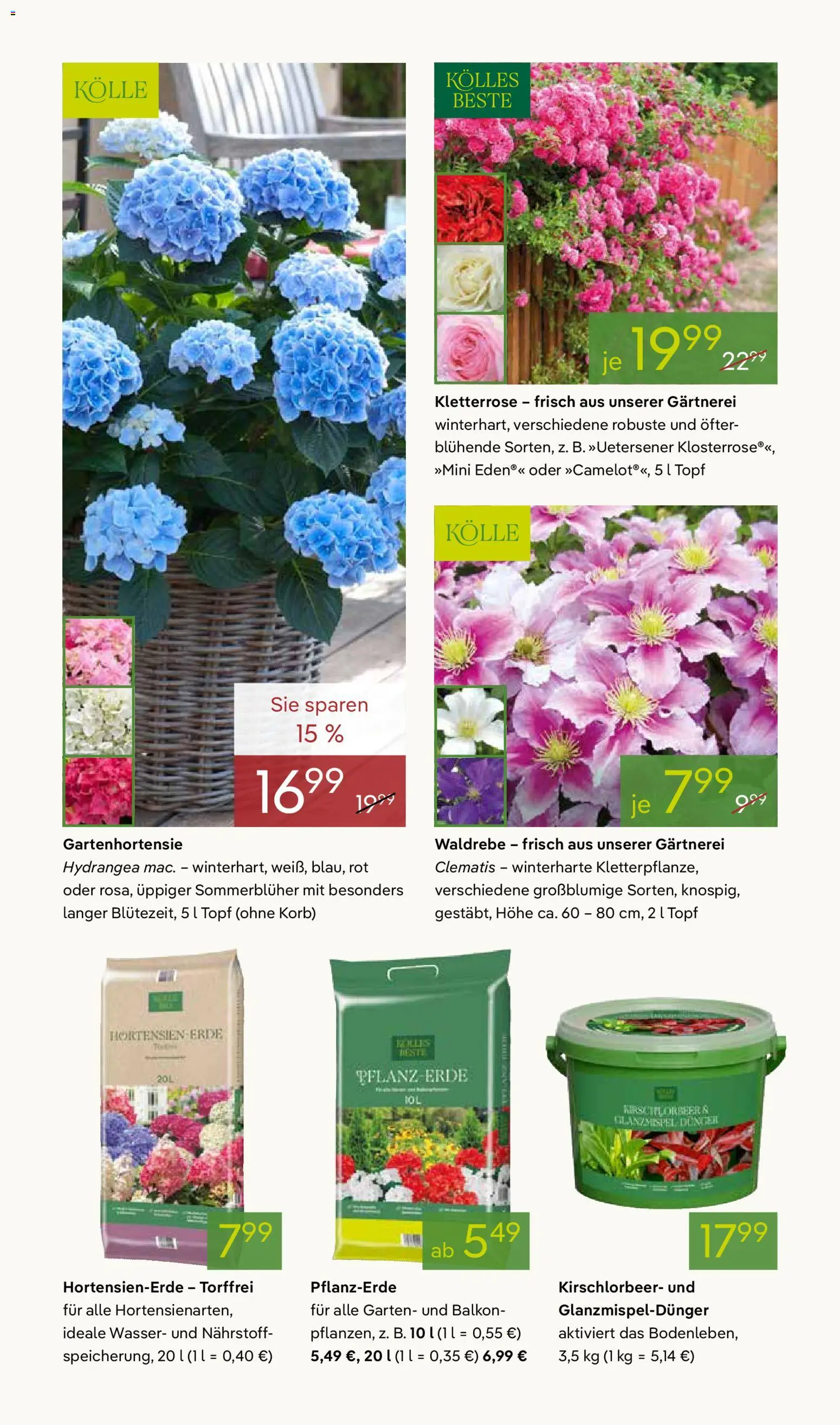 Pflanzen-Kölle Prospekt 	 – gültig ab 07.04.2026 | Seite: 6 | Produkte: Pflanzerde, Korb, Wasser