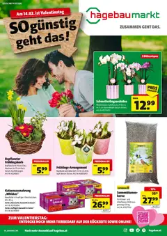 Hartlauer Angebote ab 02.02.2026 gültig