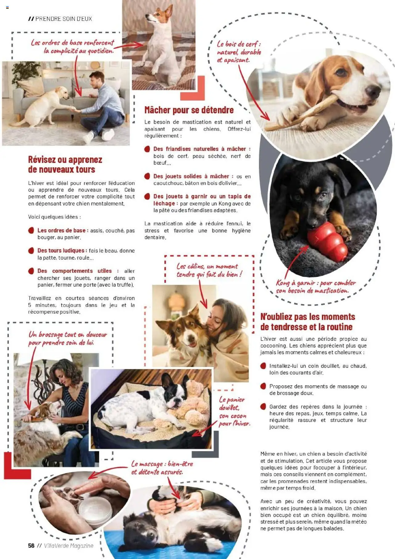  | Page: 56 | Produits: Base, Jouets, Mais, Magazine