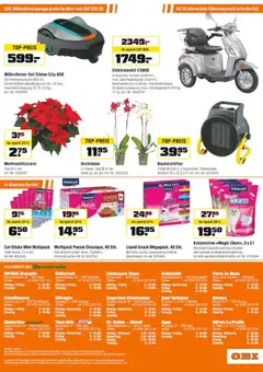 OBI Aktionen ab 30.11.2025 gültig | Seite: 16 | Produkte: Tee, Telefon, Uhr