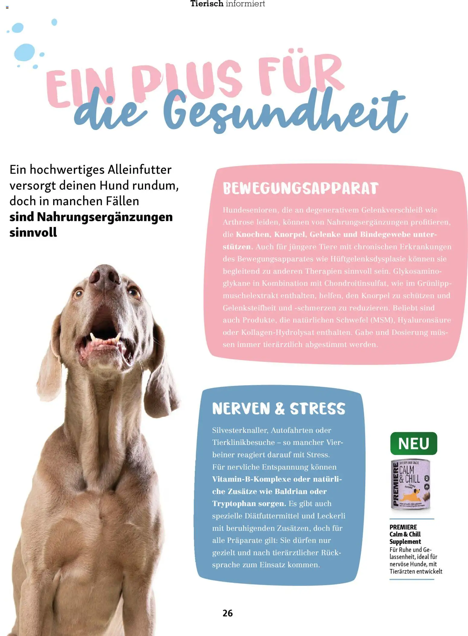 Fressnapf Friends Magazin – gültig ab 01.01.2026 | Seite: 26