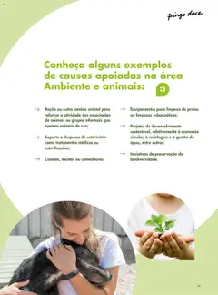 Pré-visualização Pingo Doce - Catálogo-Bairro Feliz válido de 08.04.2025 | Página: 41