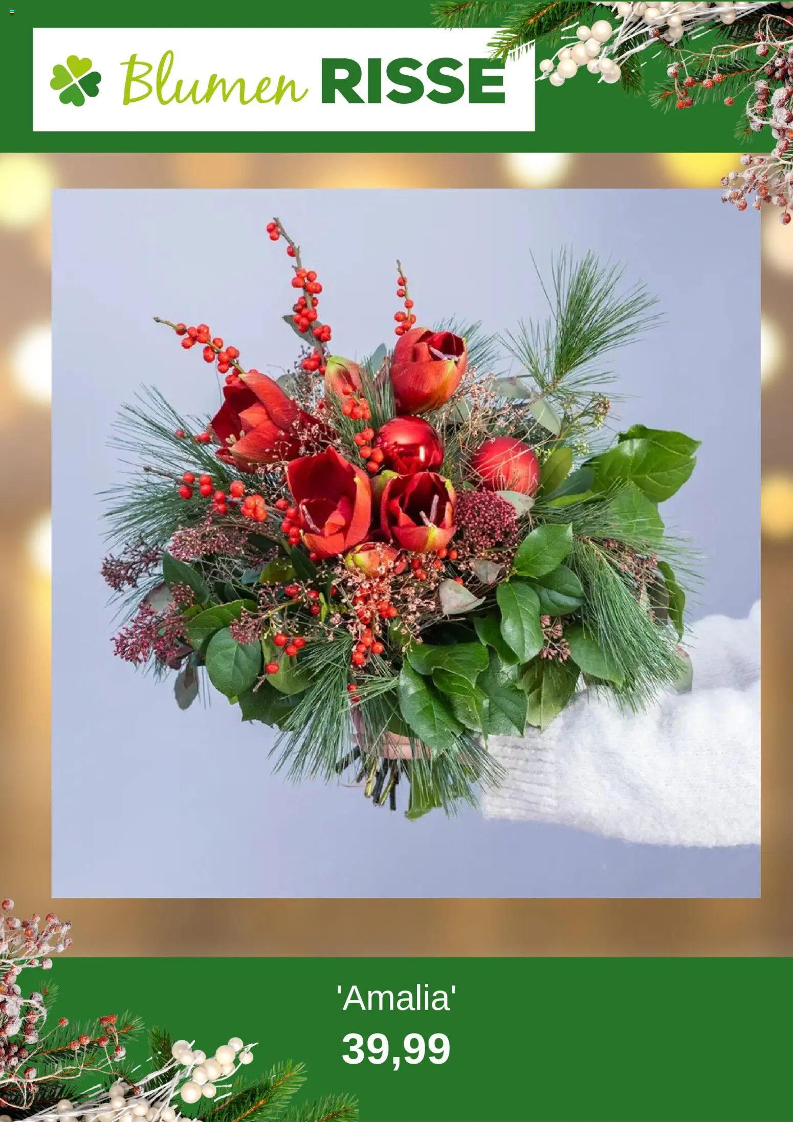 Blumen Risse Prospekt 	 – gültig ab 24.11.2025 | Seite: 2 | Produkte: Blumen