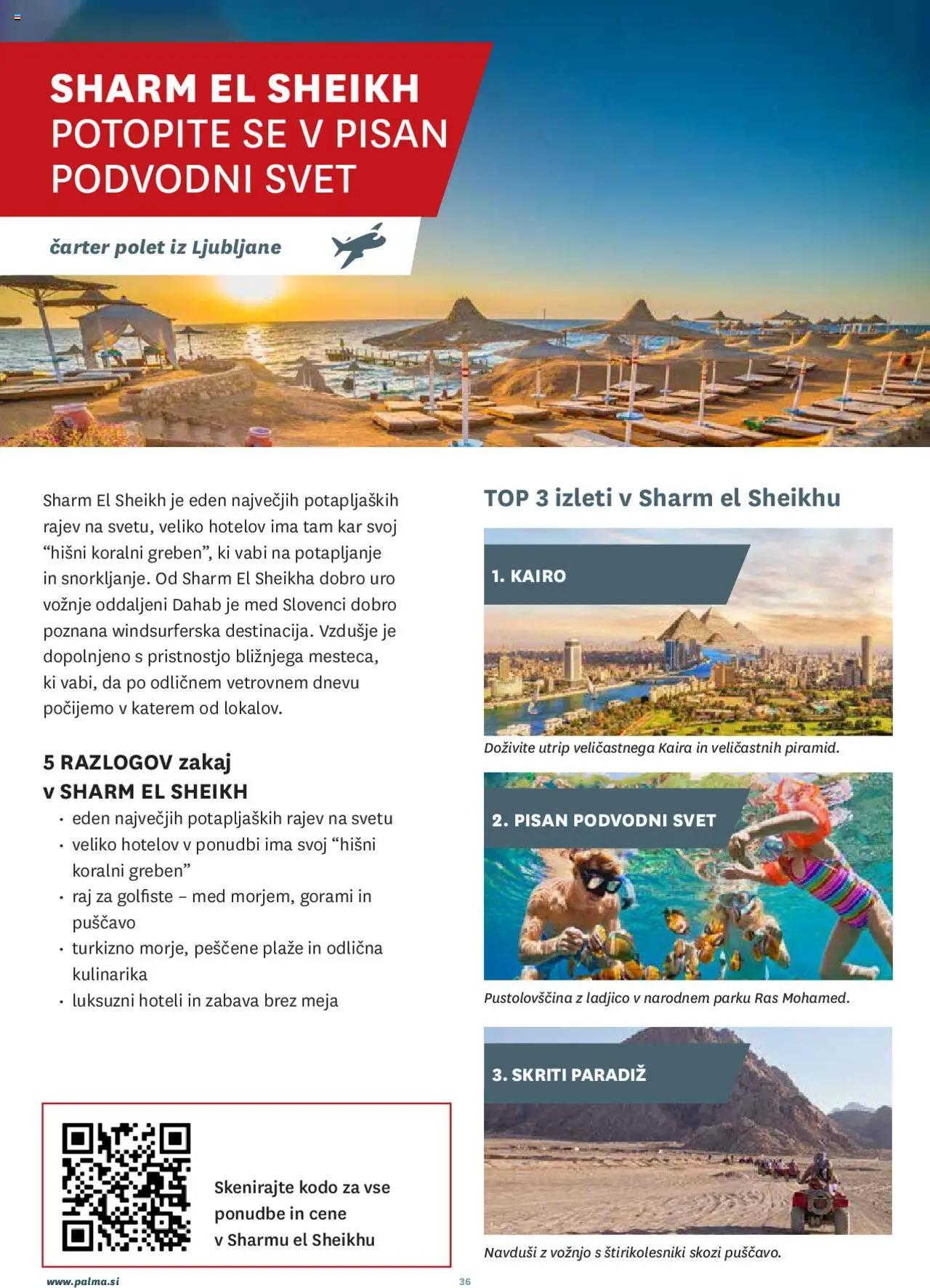 Palma katalog │ velja od 01.02.2025 | Stran: 36