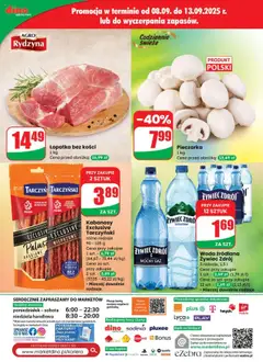 Dino Gazetka od 10.09.2025 | Strona: 72 | Produkty: Karta, Woda źródlana, Kabanosy, Woda