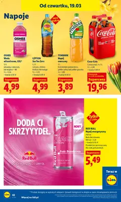 Pogląd oferty "Lidl gazetka" - ważna od 19.03.2026 | Strona: 42