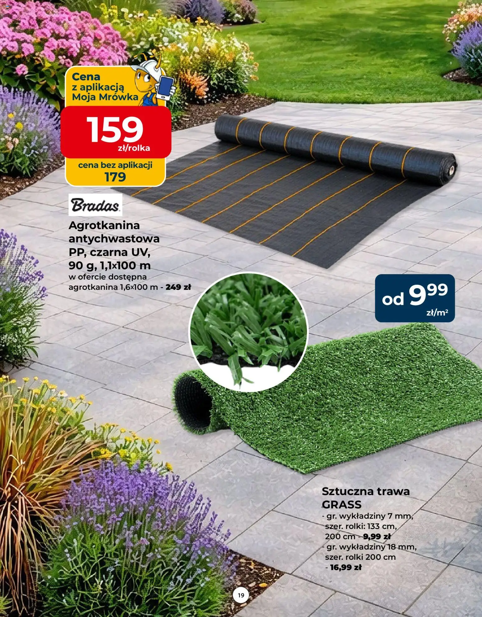 Mrówka gazetka od 23.04.2026 | Strona: 19 | Produkty: Rolki