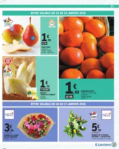 E.Leclerc - Prévisualisation de BOUQUET DE 15 TULIPES ARLEQUIN + 1 EUCALYPTUS, Bouquet de 15 tulipes arlequin + 1 eucalyptus, coloris ton chaud et ton froid. valide à partir de 20.01.2026 | Page: 31