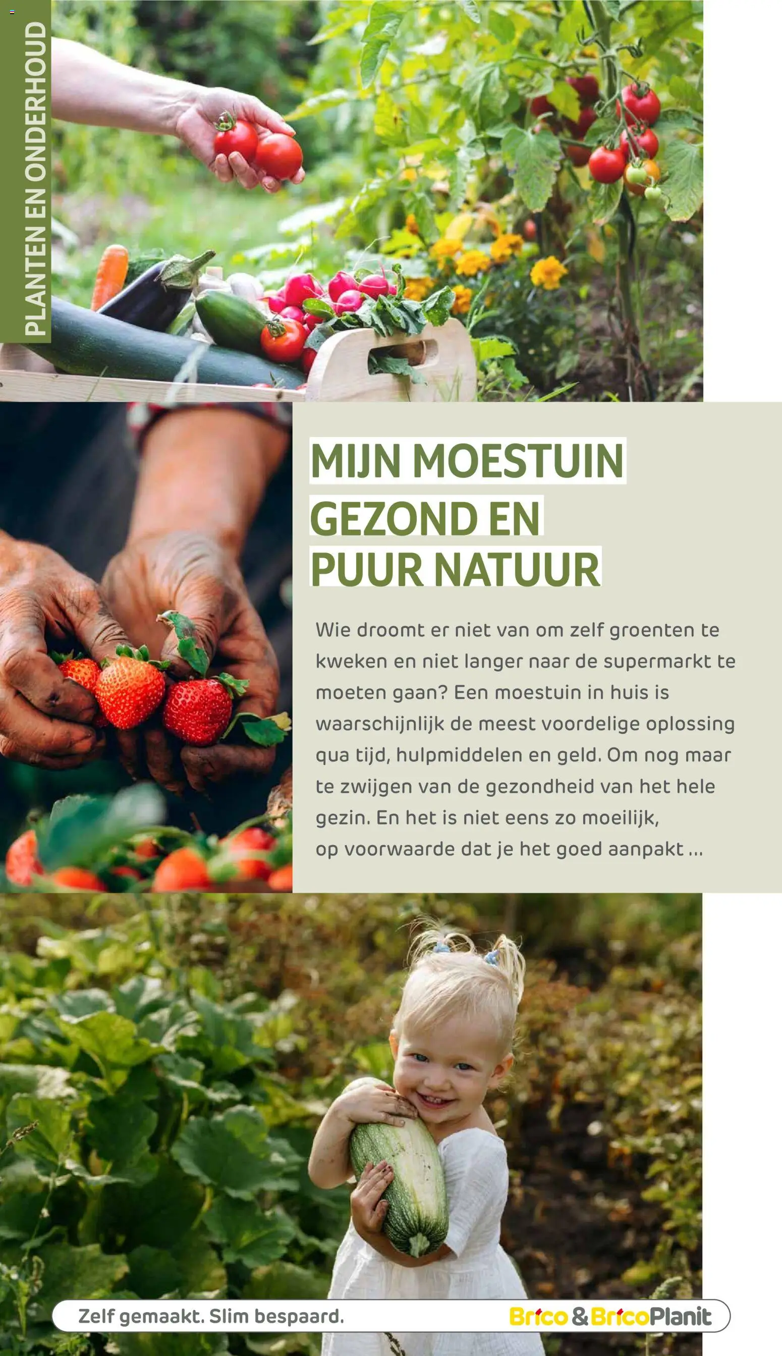 {H1} | Pagina: 133 | Producten: Groenten