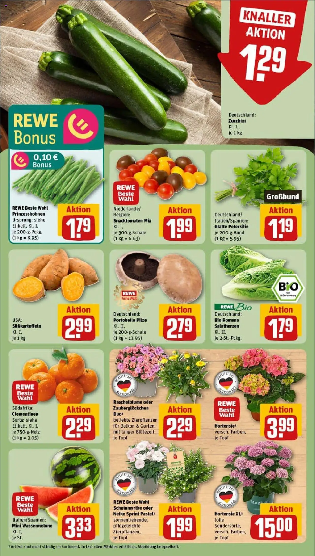 Rewe prospekt Lengerich	 - gültig ab dem 22.06.2025 | Seite: 7 | Produkte: Hortensie, Wassermelone, Petersilie, Zucchini