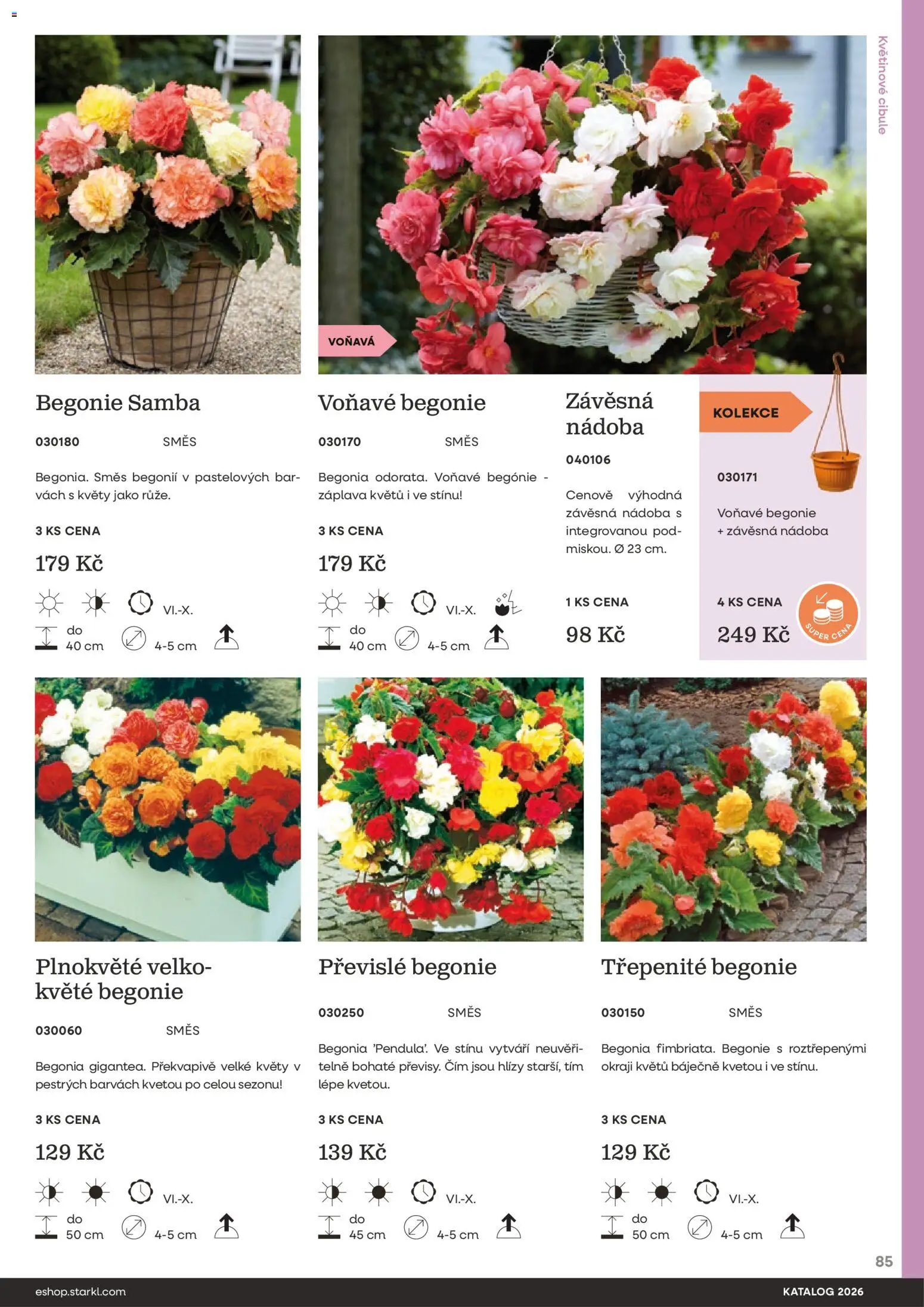 Starkl katalog od 25.02.2026 | Strana: 85 | Produkty: Cibule