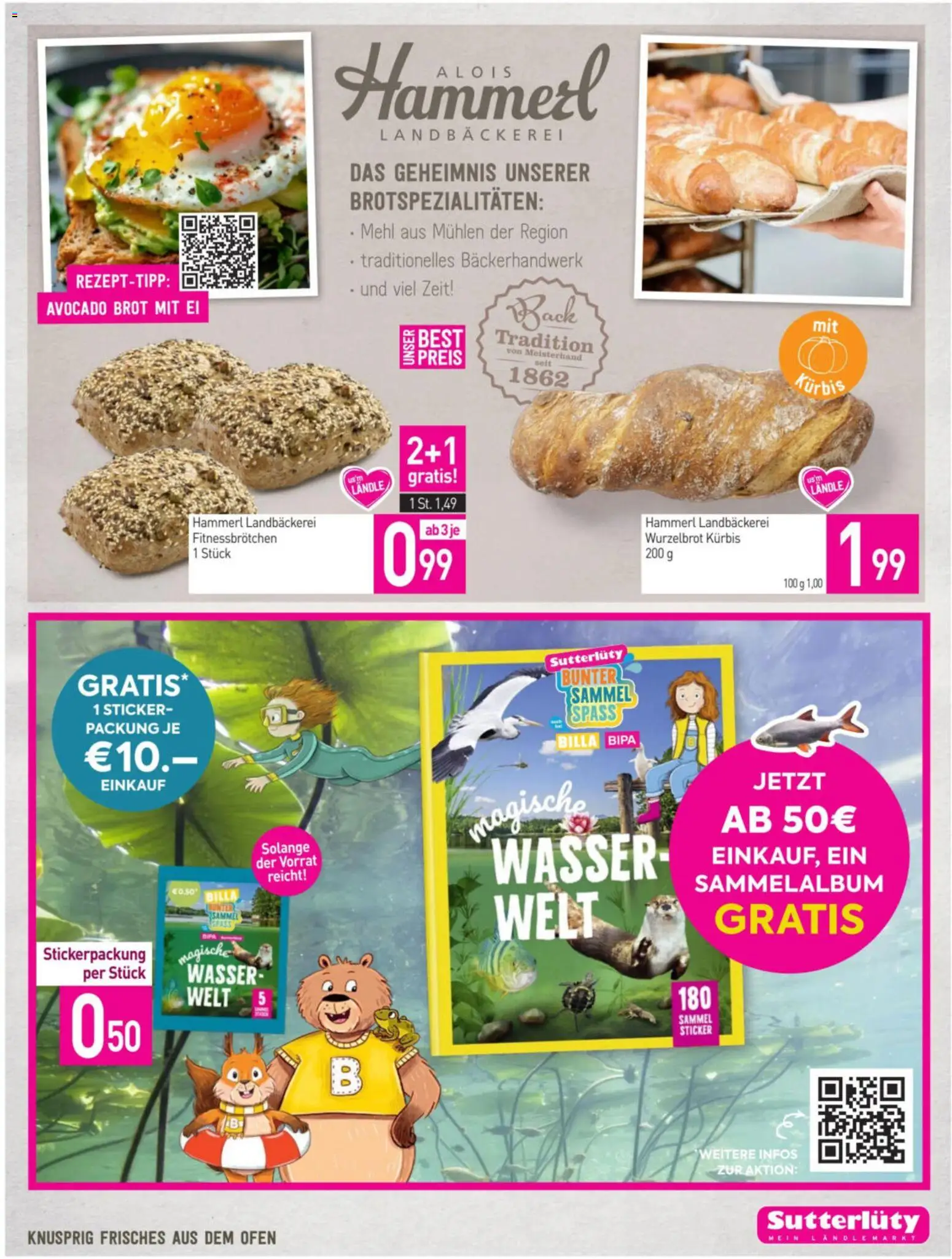 Sutterlüty Flugblatt gültig ab 30.10.2025 | Seite: 3 | Produkte: Avocado, Wasser, Kürbis, Brot