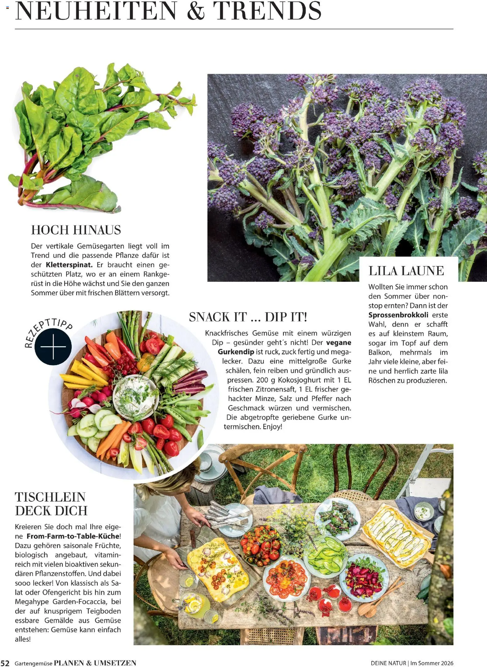 Dehner Prospekt 	 – gültig ab 17.04.2026 | Seite: 52 | Produkte: Gemüse, Salz, Pfeffer