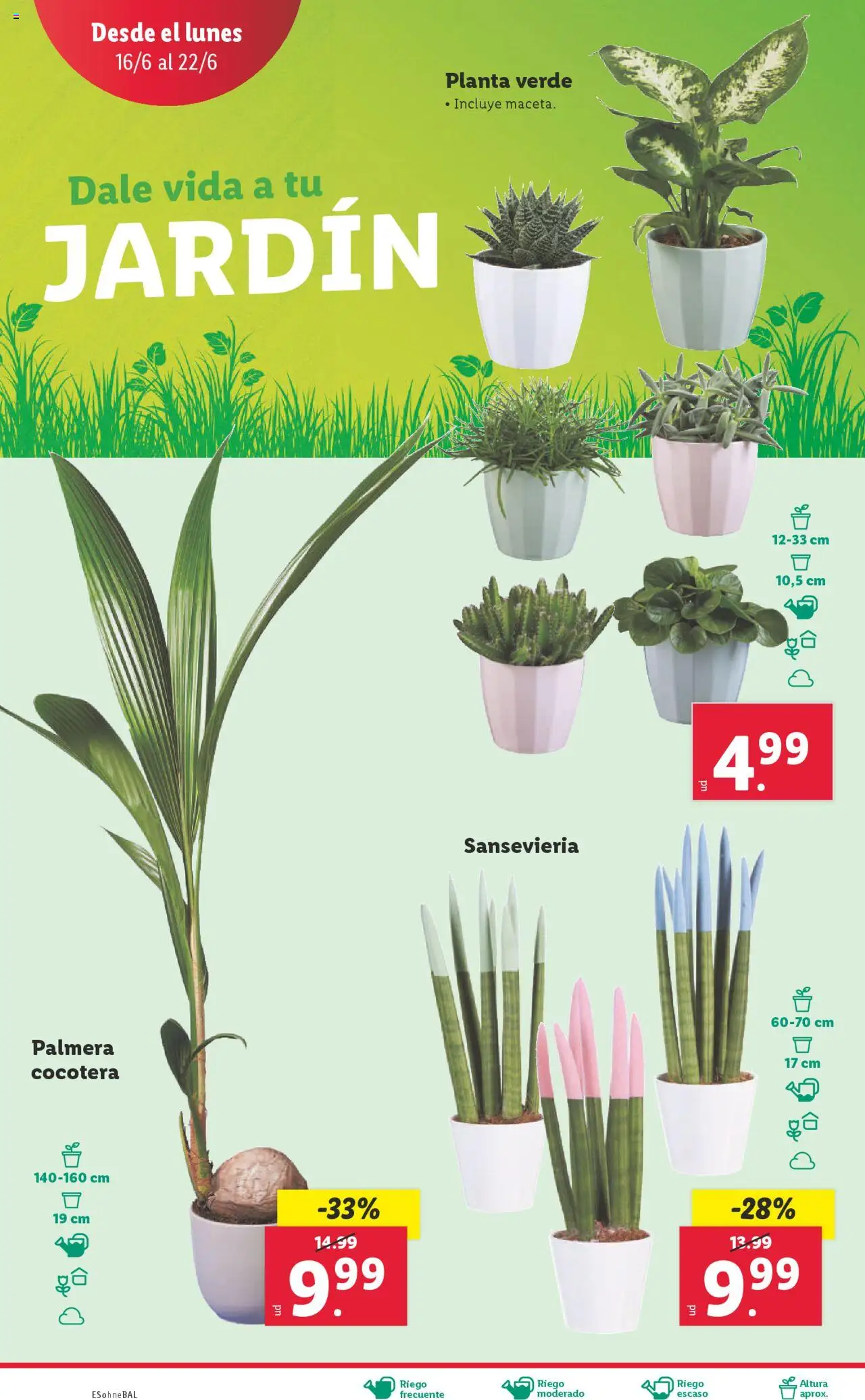 Lidl catálogo de bazar MAD │ válido desde el 16.06.2025 | Página: 28