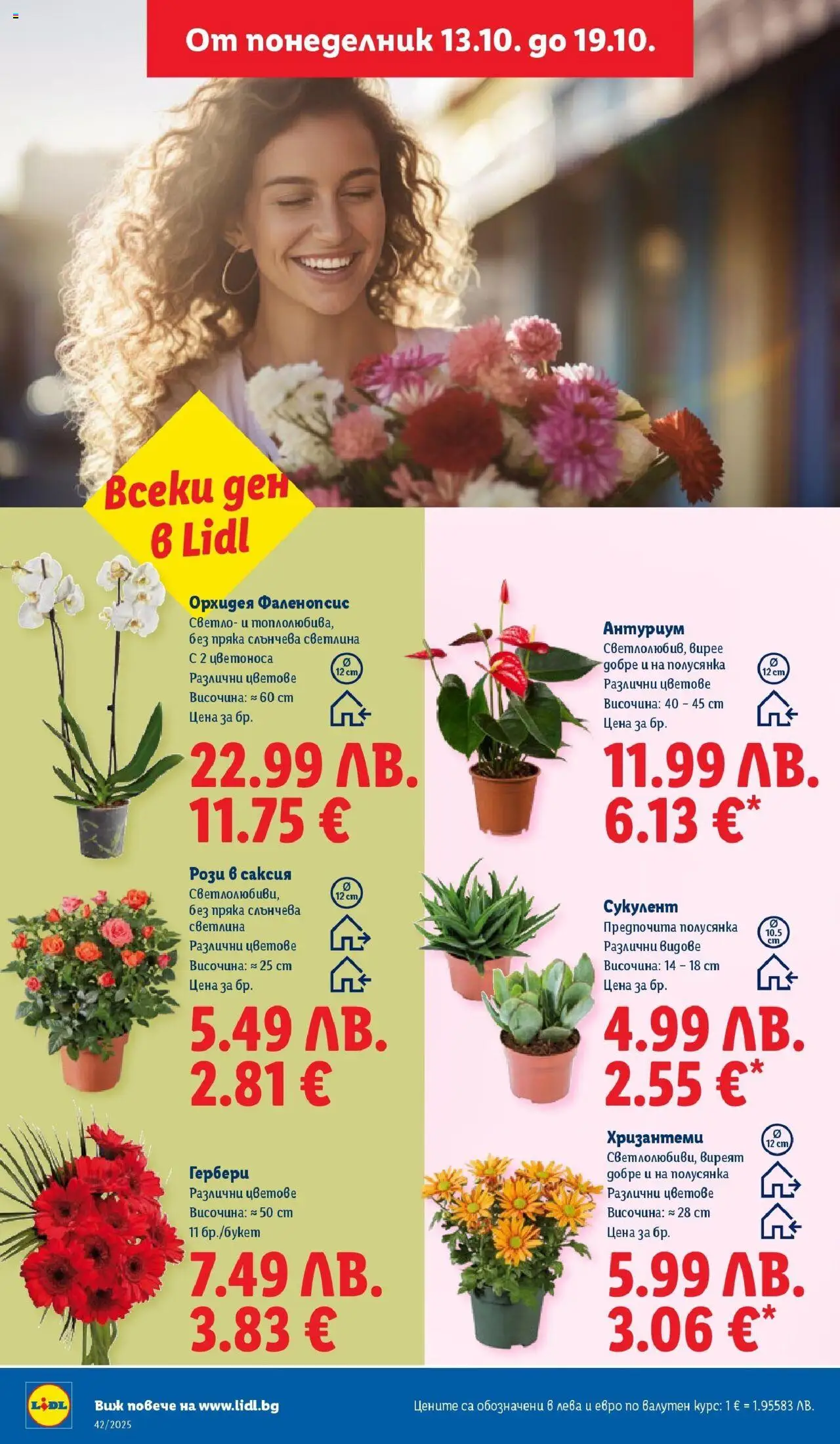 {H1} | Страница: 48 | Продукти: Орхидея, Саксия