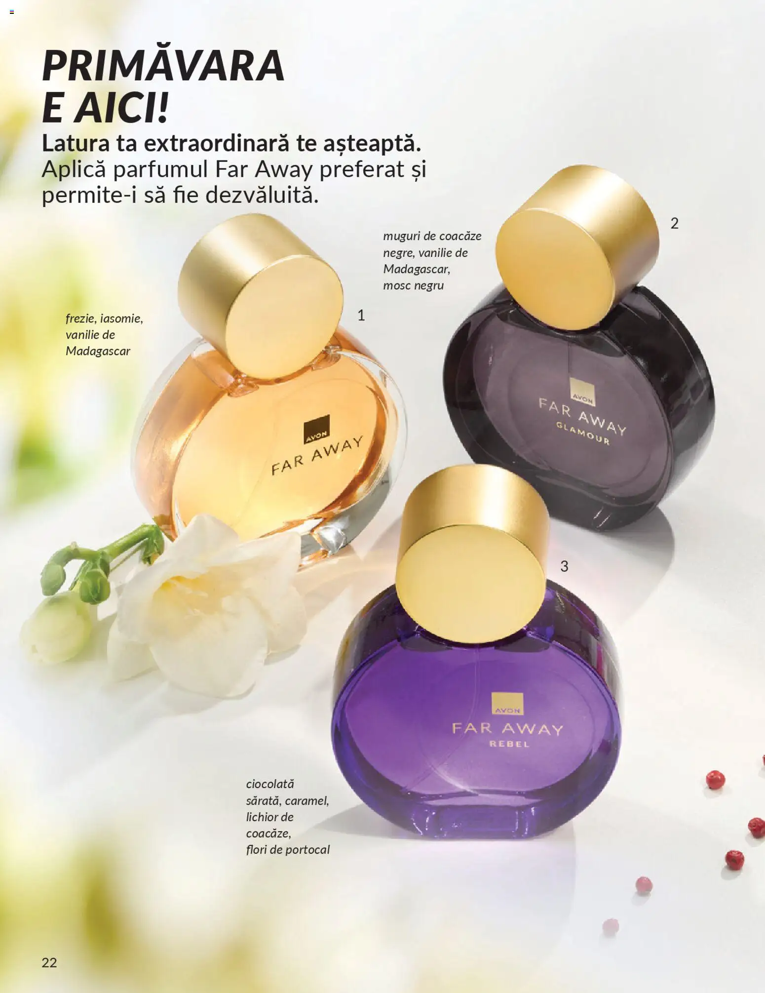 Noul catalog Avon – valabil de la 01.04.2026 | Pagină: 24 | Produse: Lichior, Ciocolată