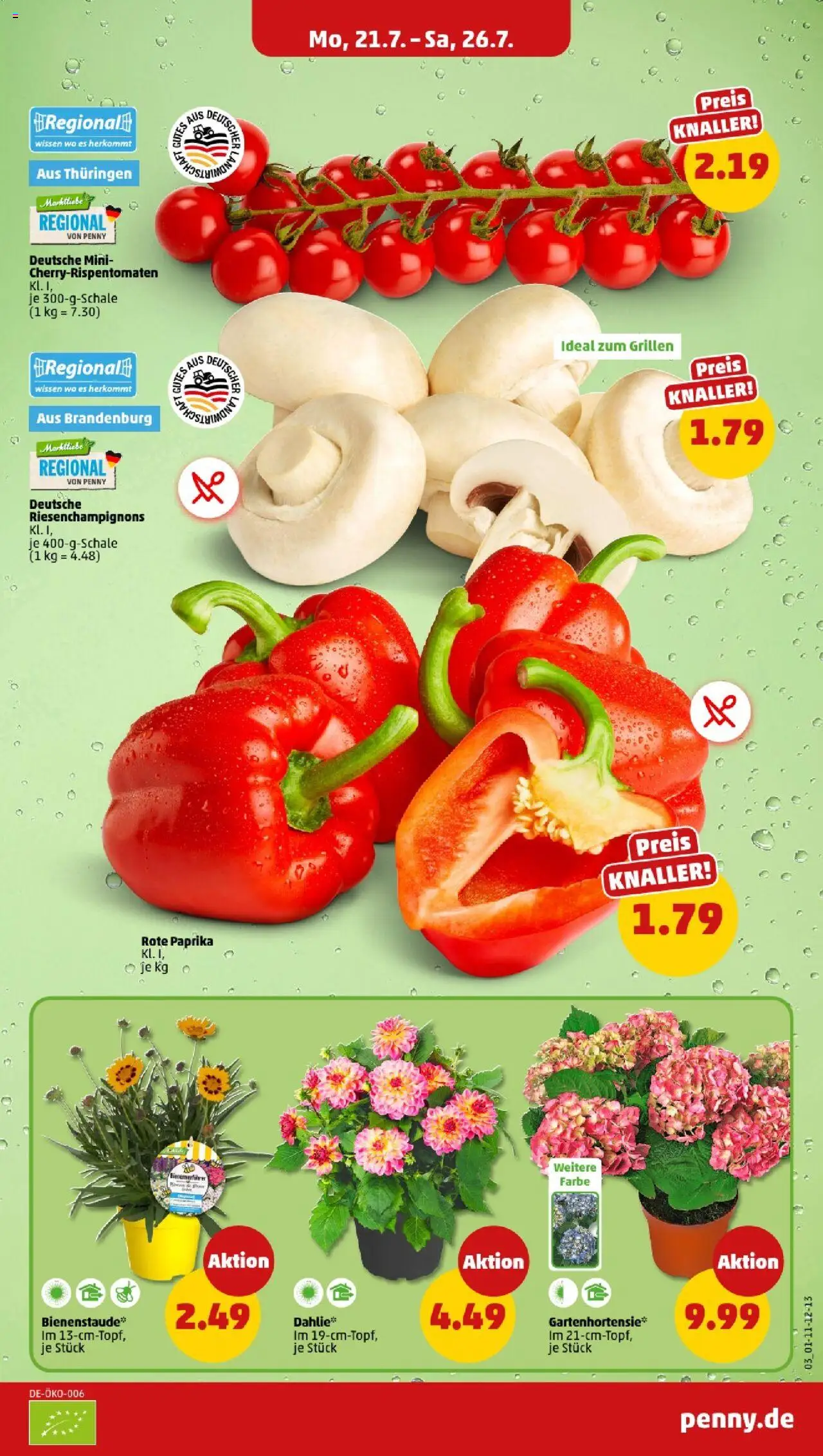 Penny - Mecklenburg-Vorpommern - gültig ab dem 21.07.2025 | Seite: 3 | Produkte: Paprika