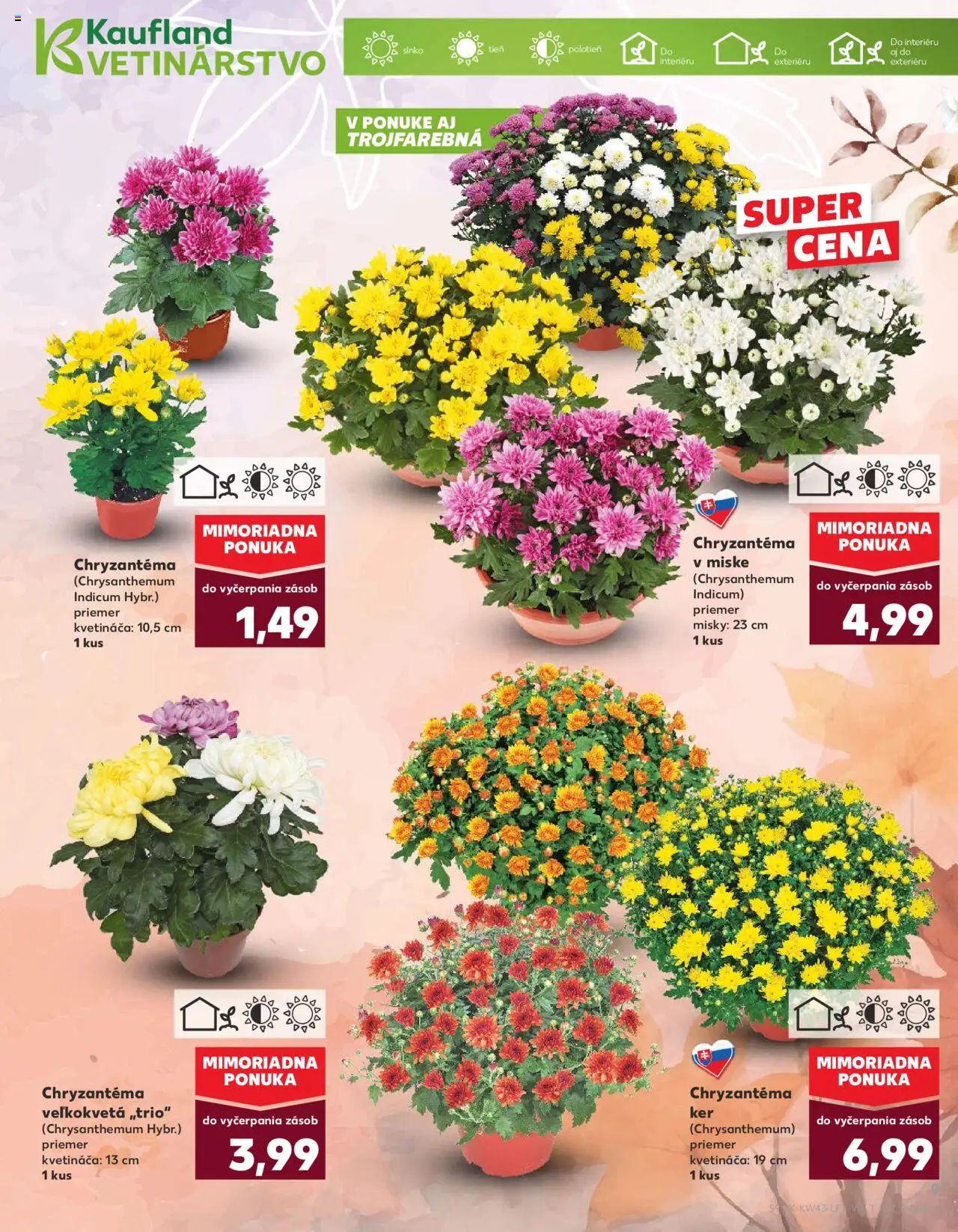 Nové Kaufland akcie – leták je platný od 23.10.2025 | Strana: 9
