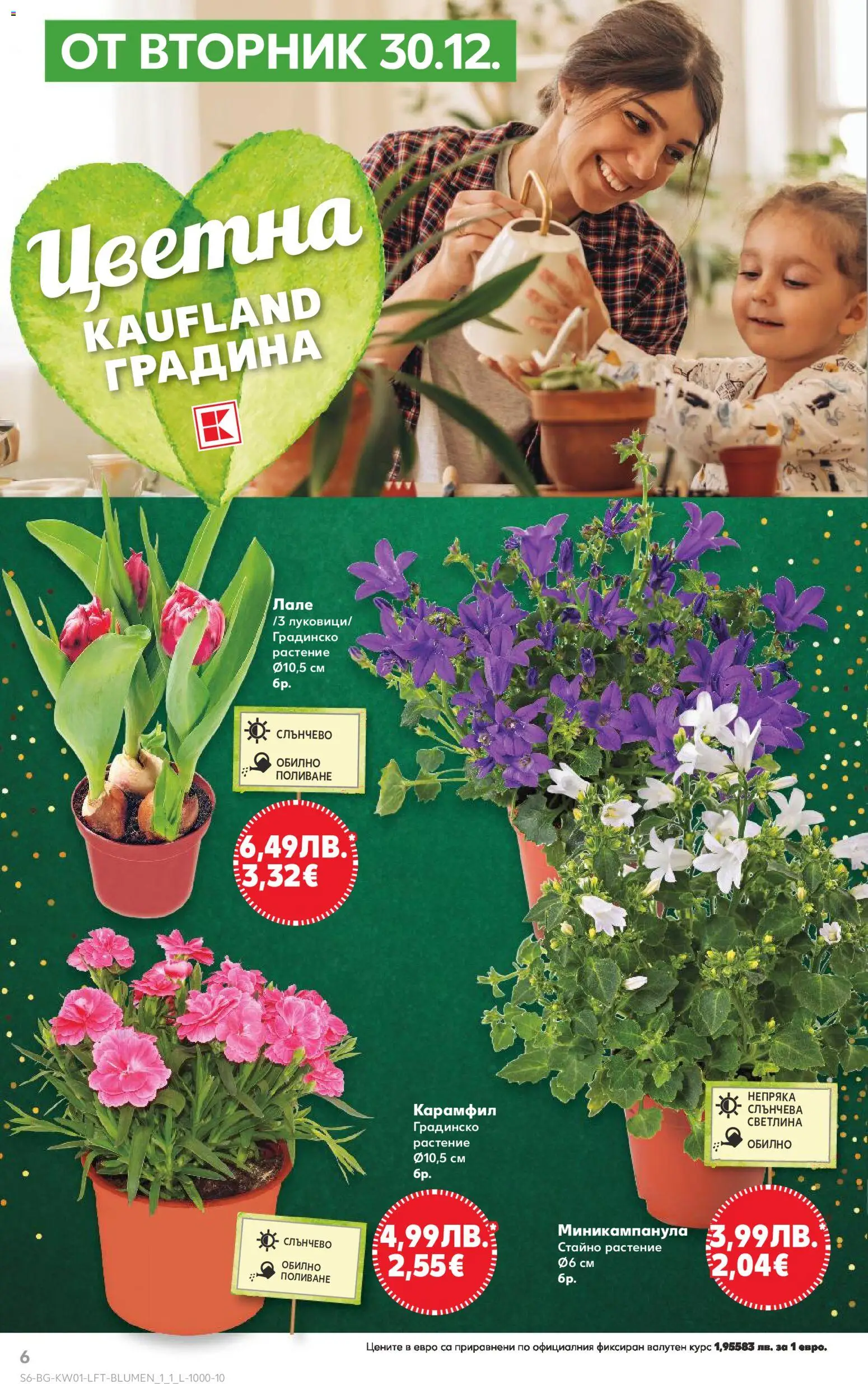 {H1} | Страница: 6 | Продукти: Карамфил