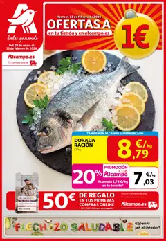 Vista previa Alcampo - HG Madrid Unificado  válido desde el 29.01.2026