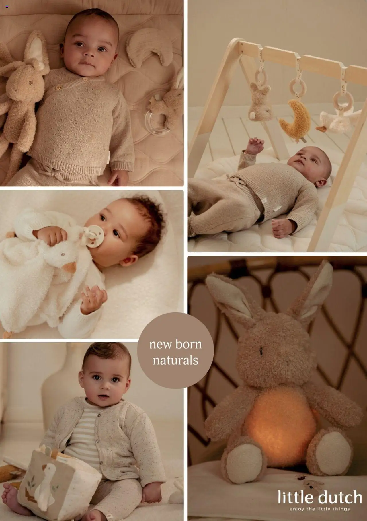  | Pagina: 38